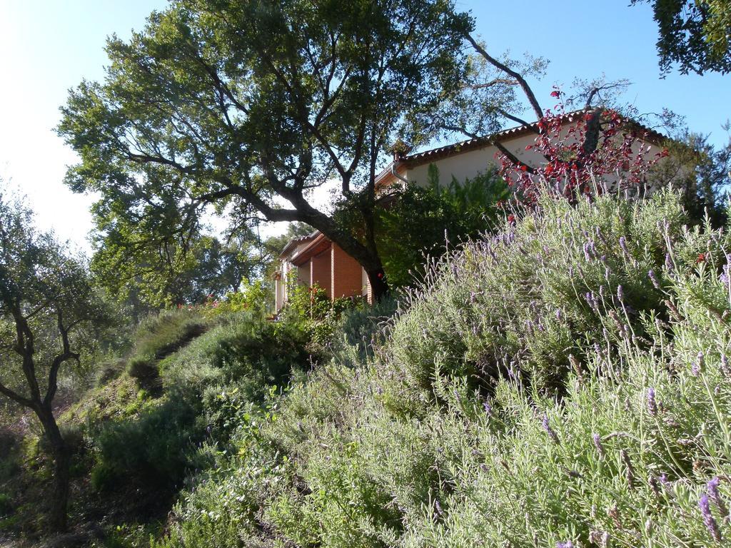 Finca La Fronda Alajar Exterior photo